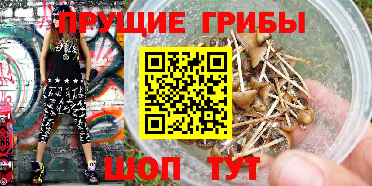 Галлюциногенные грибы мухоморы Городец