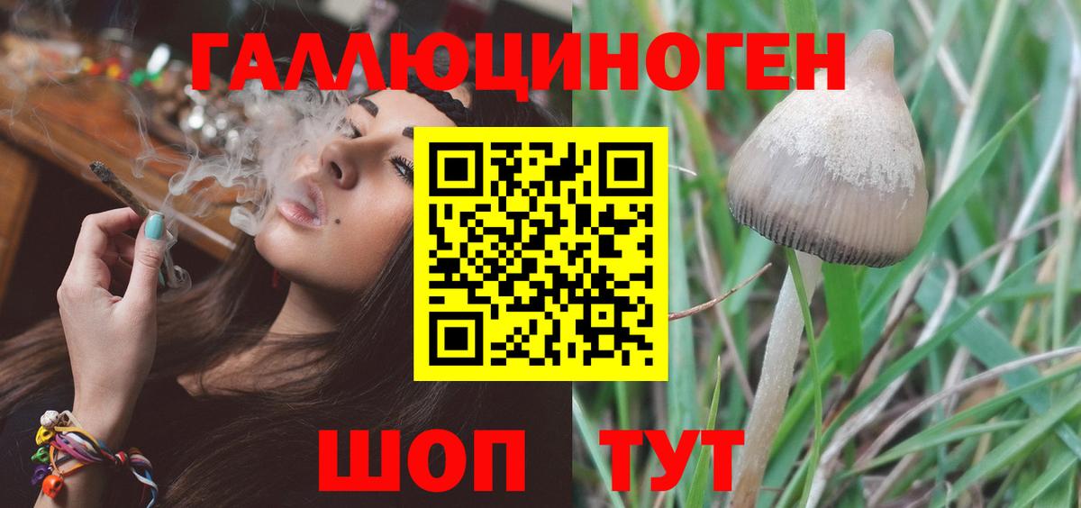 Галлюциногенные грибы мухоморы  Галлюциногенные грибы прущие грибы  магазин  наркотиков  Городец  Вход с VPN 